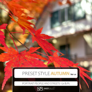 Presets Style Autumn